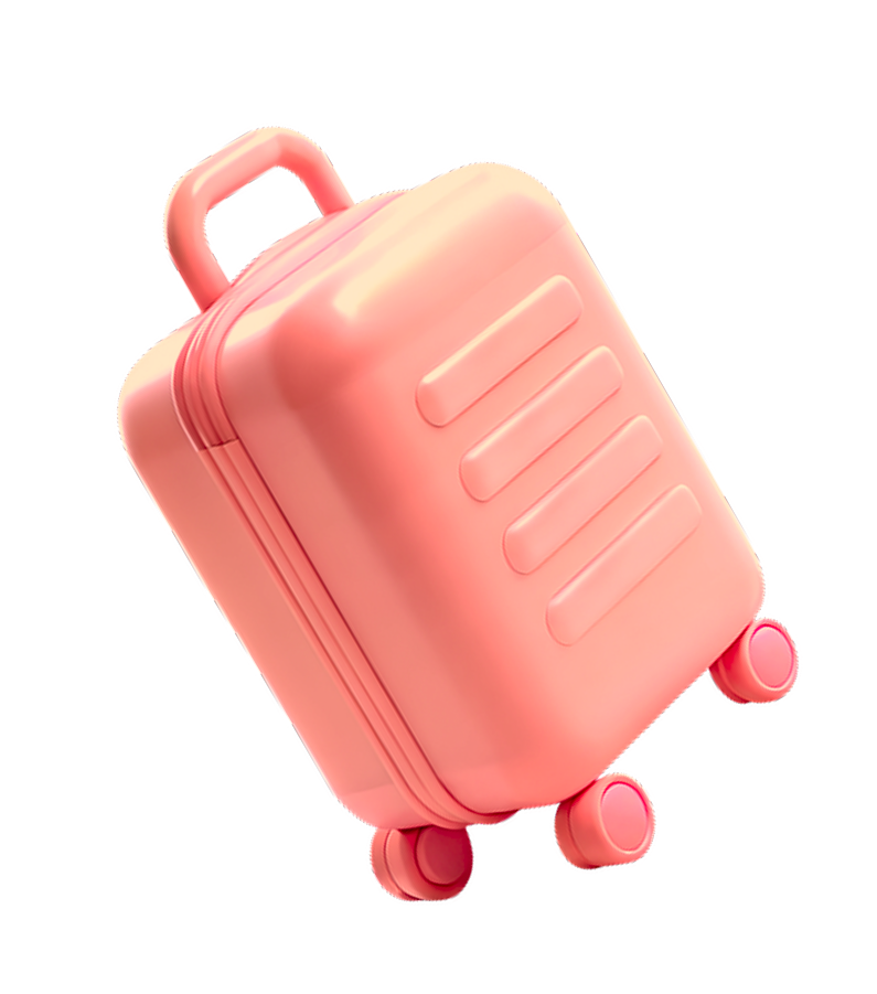 Pink Luggage